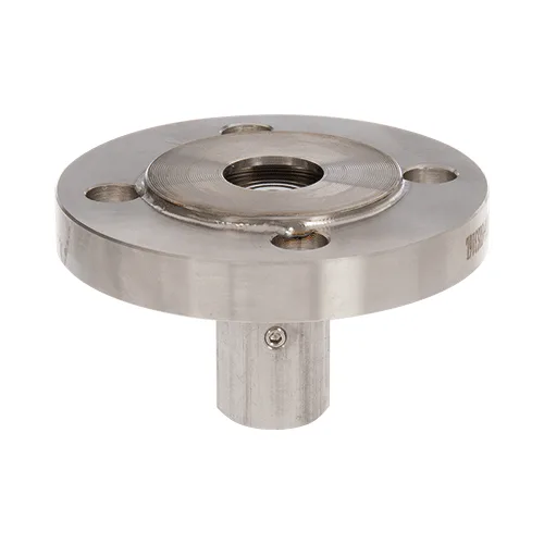 Diaphragm Seal Flanged